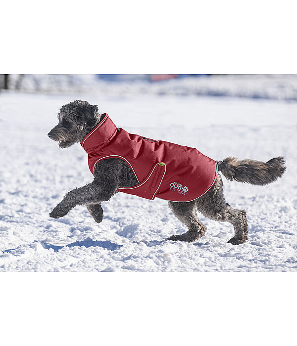 Winter-Hundemantel Archie Snow Drift, 200 g