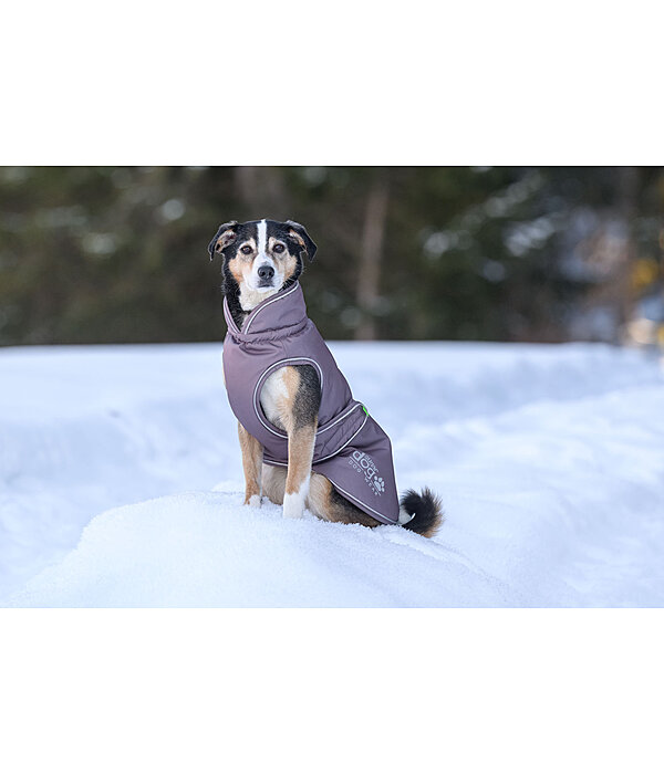 Winter-Hundemantel Archie Snow Drift, 200 g