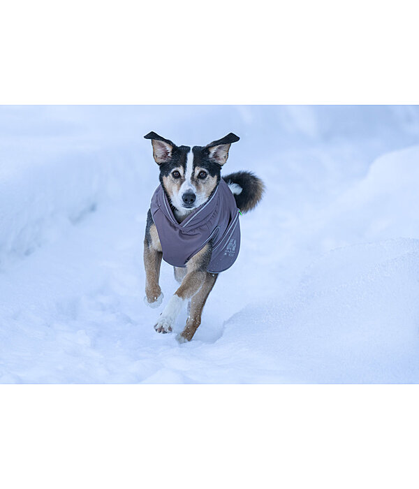 Winter-Hundemantel Archie Snow Drift, 200 g