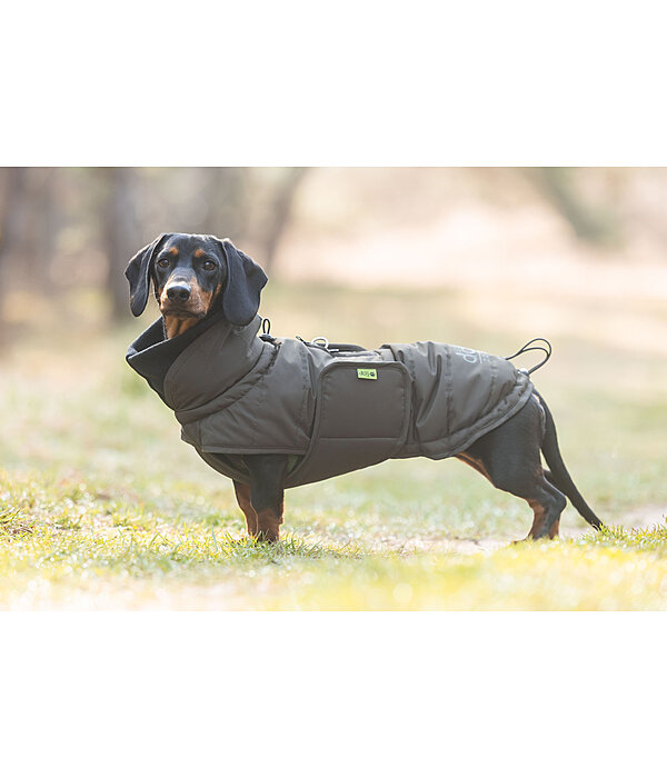 Dackel Wintermantel Henry, 200 g
