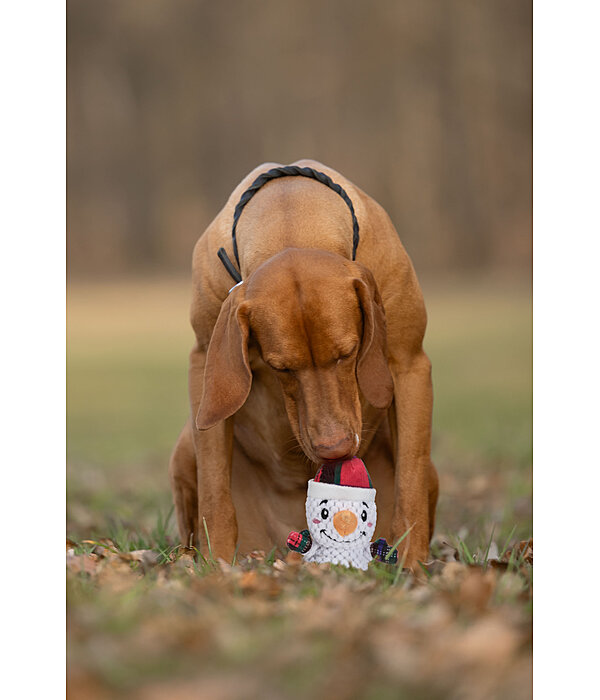 Hundespielzeug Schneemann