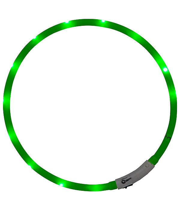 LED-Leuchthalsband f�r Hunde
