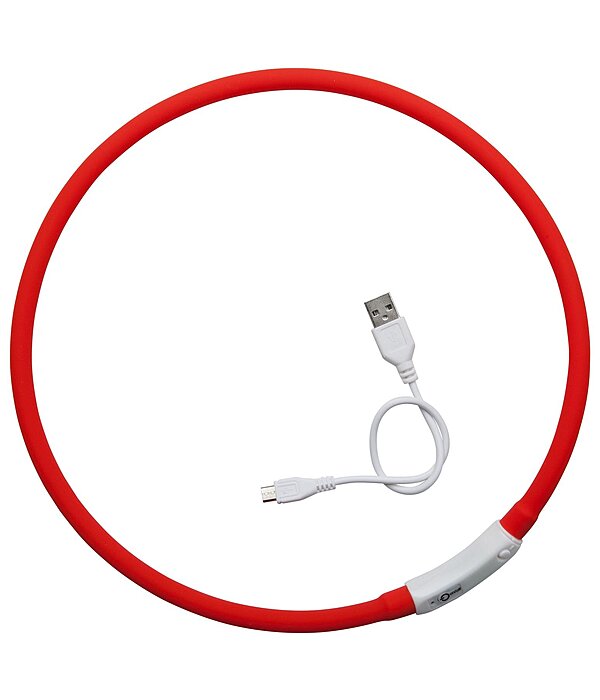 LED-Leuchthalsband f�r Hunde