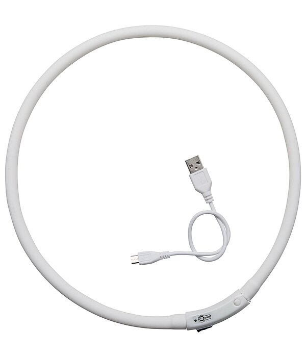 LED-Leuchthalsband f�r Hunde