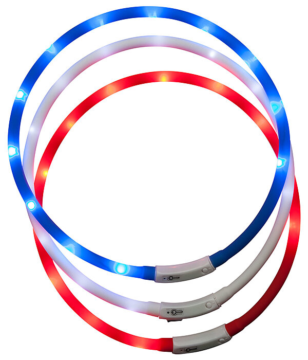 LED-Leuchthalsband f�r Hunde